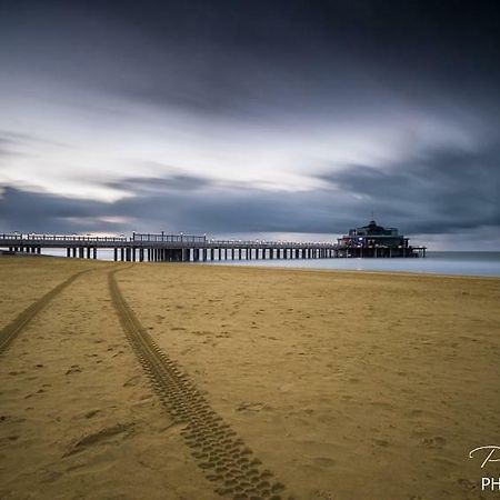 Studio Mare Nostrum Apartman Blankenberge Kültér fotó